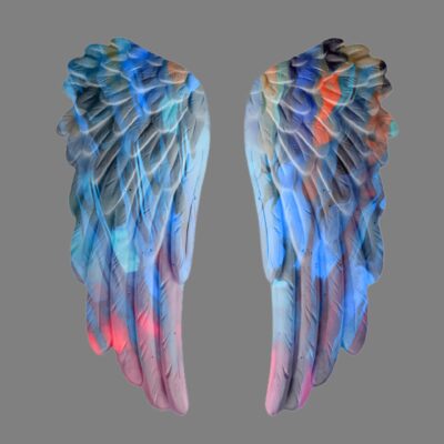 wings multicoloured wallart